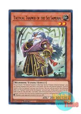 画像: 英語版 MP25-EN246 Tactical Trainer of the Six Samurai 六武衆の指南番 (ウルトラレア) 1st Edition