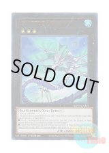 画像: 英語版 MP25-EN249 LeVirtue Dragon リヴァーチュ・ドラゴン (ウルトラレア) 1st Edition