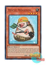 画像: 英語版 MP25-EN261 Rescue Hedgehog レスキューヘッジホッグ (ウルトラレア) 1st Edition