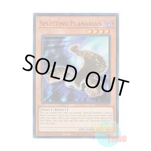 画像: 英語版 MP25-EN263 Splitting Planarian 分裂するプラナリア (ウルトラレア) 1st Edition