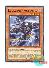 画像: 英語版 MP25-EN302 Raidraptor - Noir Lanius RR－ノアール・レイニアス (ノーマル) 1st Edition