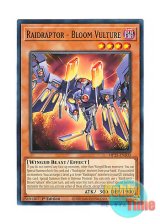 画像: 英語版 MP25-EN303 Raidraptor - Bloom Vulture RR－ブルーム・ヴァルチャー (ノーマル) 1st Edition