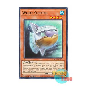 画像: 英語版 MP25-EN304 White Sunfish 白曼波 (ノーマル) 1st Edition