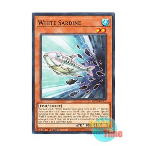 画像: 英語版 MP25-EN305 White Sardine 白鰯 (ノーマル) 1st Edition