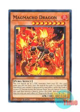 画像: 英語版 MP25-EN307 Magmacho Dragon マグマッチョ・ドラゴン (ノーマル) 1st Edition