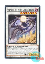 画像: 英語版 MP25-EN313 Vagnawa the Moon-Eating Dragon 月朧龍ヴァグナワ (ノーマル) 1st Edition