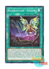 画像: 英語版 MP25-EN316 Raidraptor - Roost RR－ルースト (ノーマル) 1st Edition