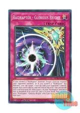 画像: 英語版 MP25-EN323 Raidraptor - Glorious Bright RR－グロリアス・ブライト (ノーマル) 1st Edition
