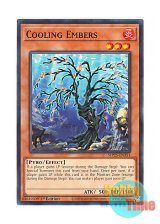 画像: 英語版 MP25-EN351 Cooling Embers 冷える火 (ノーマル) 1st Edition