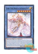 画像: 英語版 MP25-EN352 Saffira, Divine Dragon of the Voiceless Voice 粛声なる竜神サフィラ (ノーマル) 1st Edition
