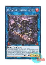 画像: 英語版 MP25-EN354 Ragnaraika Skeletal Soldier 蕾禍ノ武者髑髏 (ノーマル) 1st Edition