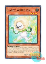 画像: 英語版 MP25-EN377 Dandy Whitelion ダンディ・ホワイトライオン (ノーマル) 1st Edition