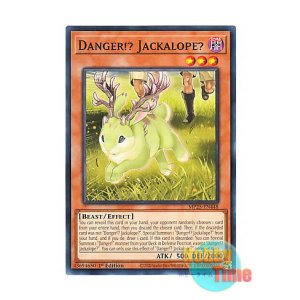 画像: 英語版 MP25-EN448 Danger!? Jackalope? 未界域のジャッカロープ (ノーマル) 1st Edition