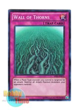 画像: 英語版 AP03-EN013 Wall of Thorns 棘の壁 (スーパーレア)