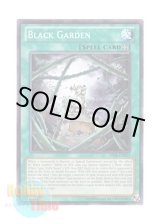 画像: 英語版 AP04-EN025 Black Garden ブラック・ガーデン (ノーマル)