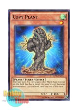 画像: 英語版 AP05-EN015 Copy Plant コピー・プラント (ノーマル)