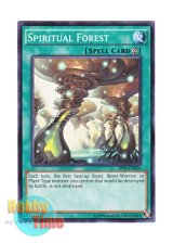 画像: 英語版 AP05-EN024 Spiritual Forest 神聖なる森 (ノーマル)