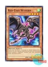画像: 英語版 AP08-EN019 Red-Eyes Wyvern 真紅眼の飛竜 (ノーマル)