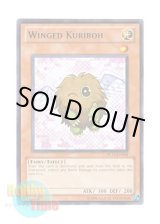 画像: 英語版 DL12-EN008 Winged Kuriboh ハネクリボー (レア：ブルー)