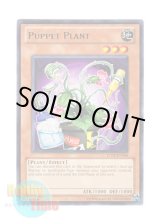 画像: 英語版 TU05-EN006 Puppet Plant パペット・プラント (レア)