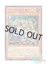 画像: 日本語版 PRIO-JP025 Traptrix Dionaea ティオの蟲惑魔 (レア)