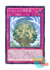 画像: 日本語版 NECH-JP076 Naturia Sacred Tree ナチュルの神星樹 (ノーマル)