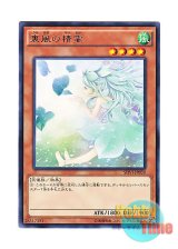 画像: 日本語版 SHVI-JP039 Spirit of the Fall Wind 裏風の精霊 (レア)