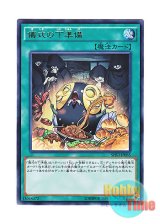 画像: 日本語版 SHVI-JP065 Pre-Preparation of Rites 儀式の下準備 (レア)