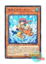 画像: 日本語版 CHIM-JP002 Marincess Mandarin 海晶乙女マンダリン (ノーマル)