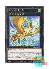 画像: 日本語版 DAMA-JP046 Dragonlark Pairen 告天子竜パイレン (ノーマル)