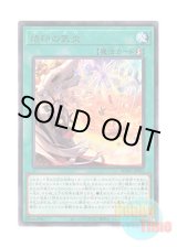 画像: 日本語版 BODE-JP055 Branded in High Spirits 烙印の気炎 (レア)