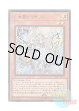 画像: 日本語版 INFO-JP014 Elzette of the White Forest 白き森のリゼット (スーパーレア)