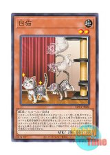 画像: 日本語版 ROTA-JP026 Flipping Feline 回猫 (ノーマル)