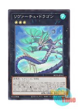 画像: 日本語版 ROTA-JP042 LeVirtue Dragon リヴァーチュ・ドラゴン (スーパーレア)