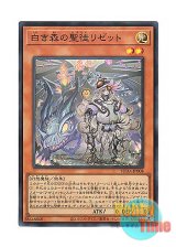 画像: 日本語版 SUDA-JP008 Elzette, Azamina of the White Forest 白き森の聖徒リゼット (スーパーレア)