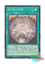 画像: 日本語版 SUDA-JP055 Sinful Spoils of the White Forest 白き森の罪宝 (ノーマル)