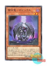 画像: 日本語版 ALIN-JP019 Nebulus, Dragon Ruler of Mishaps 闇征竜－ネビュラス (ノーマル)