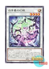 画像: 日本語版 ALIN-JP041 Poplar of the White Forest 白き森の幻妖 (レア)