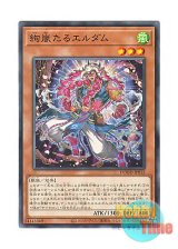 画像: 日本語版 DOOD-JP013 Radiant Typhoon Eldam 絢嵐たるエルダム (ノーマル)