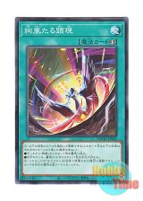 画像: 日本語版 DOOD-JP062 Radiant Typhoon Manifestation 絢嵐たる顕現 (ノーマル)