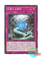 画像: 日本語版 DOOD-JP076 Radiant Typhoon Mandate 絢嵐たる権能 (ノーマル)