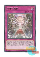 画像: 日本語版 DOOD-JP078 Quadogmatika Beast 凶導の聖獣 (レア)