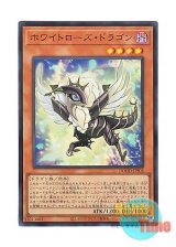 画像: 日本語版 DOOD-JPS03 White Rose Dragon ホワイトローズ・ドラゴン (ウルトラレア)