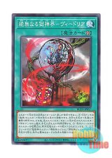 画像: 日本語版 BLZD-JP057 海外未発売 絶無なる獄神界－ヴィードリア (ノーマル)