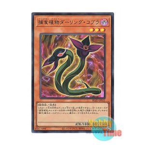 画像: 日本語版 BLZD-JPS11 Predaplant Darlingtonia Cobra 捕食植物ダーリング・コブラ (ウルトラレア)