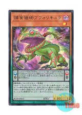 画像: 日本語版 BLZD-JPS13 Predaplant Bufolicula 捕食植物ブフォリキュラ (ウルトラレア)