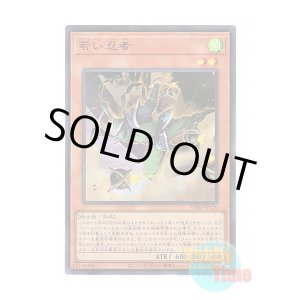 画像: 日本語版 VJMP-JP220 Green Ninja 若い忍者 (ウルトラレア)