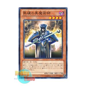 画像: 日本語版 15AY-JPC19 Skilled Dark Magician 熟練の黒魔術師 (ノーマル)