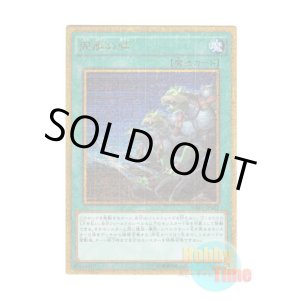 画像: 日本語版 MB01-JP002 Ties of the Brethren 同胞の絆 (ミレニアムゴールドレア)