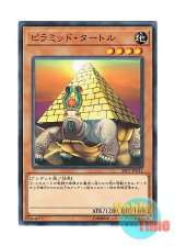 画像: 日本語版 SR07-JP015 Pyramid Turtle ピラミッド・タートル (ノーマル)